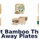 best bamboo throw away plates