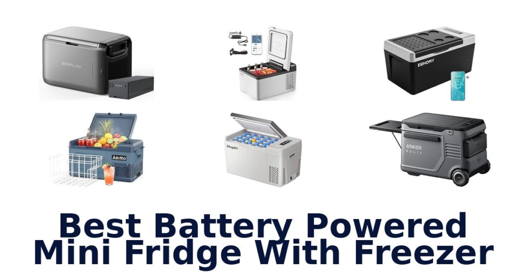 best battery powered mini fridge with freezer