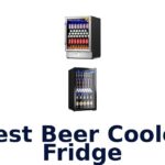 best beer cooler fridge