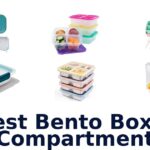 best bento box 4 compartment