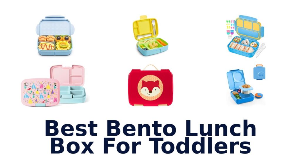 best bento lunch box for toddlers