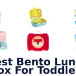 best bento lunch box for toddlers