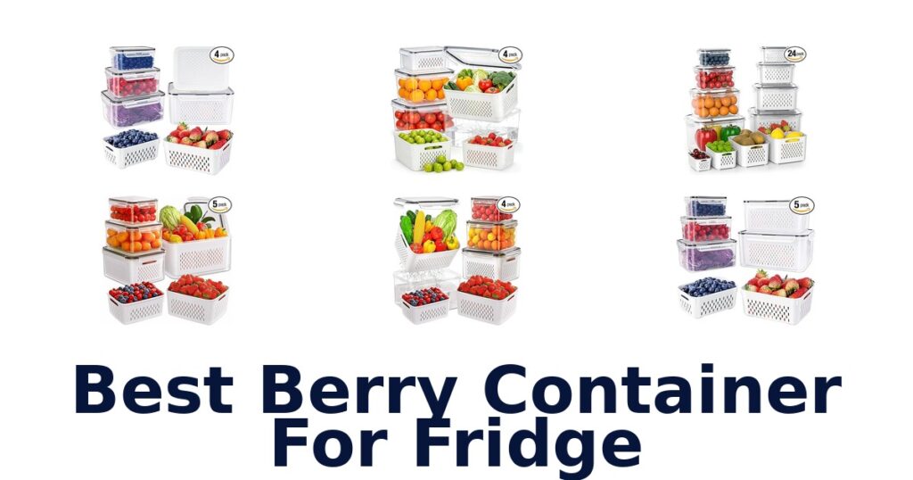 best berry container for fridge