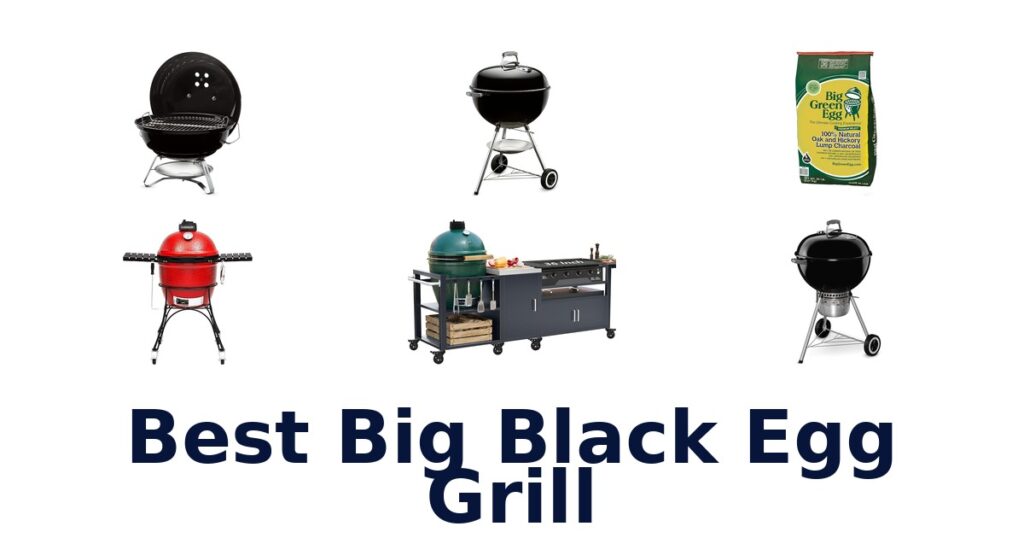 best big black egg grill