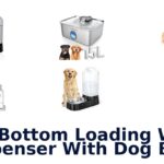 best bottom loading water dispenser with dog bowl