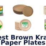 best brown kraft paper plates