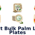 best bulk palm leaf plates