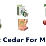 best cedar for moths