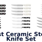 best ceramic steak knife set