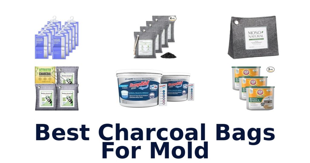 best charcoal bags for mold