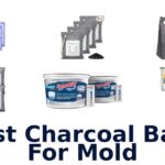 best charcoal bags for mold