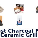 best charcoal for ceramic grill