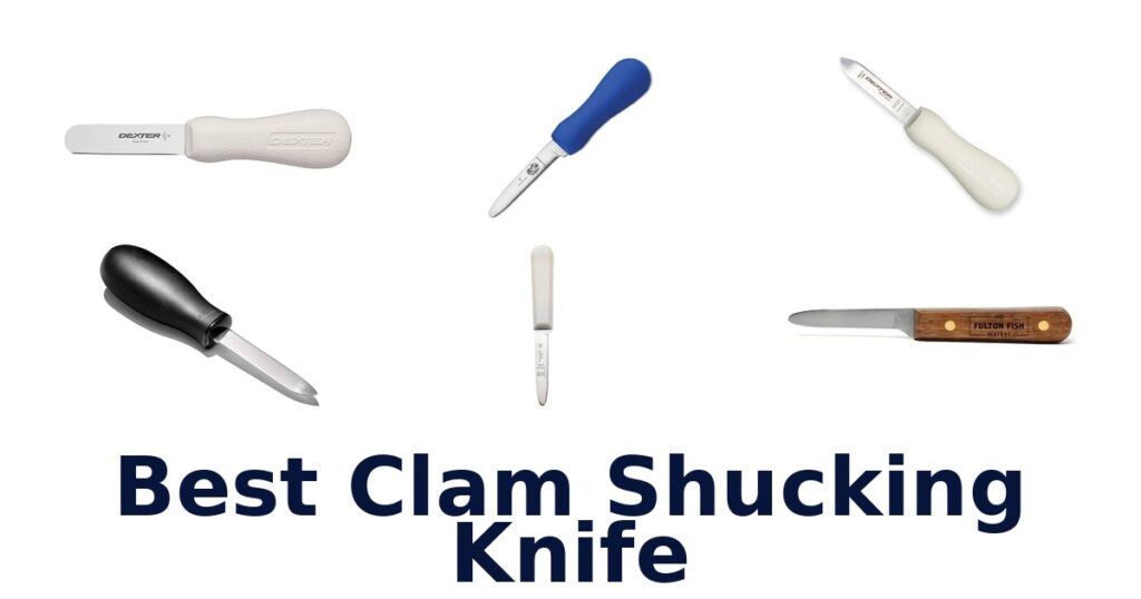 best clam shucking knife