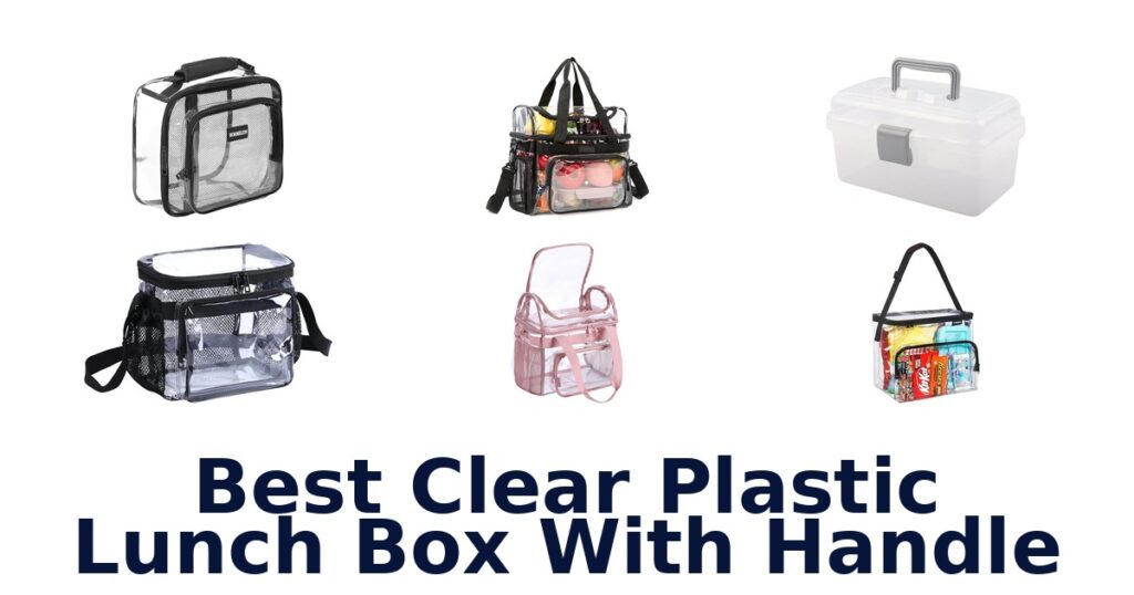 best clear plastic lunch box with handle