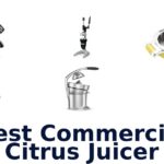 best commercial citrus juicer