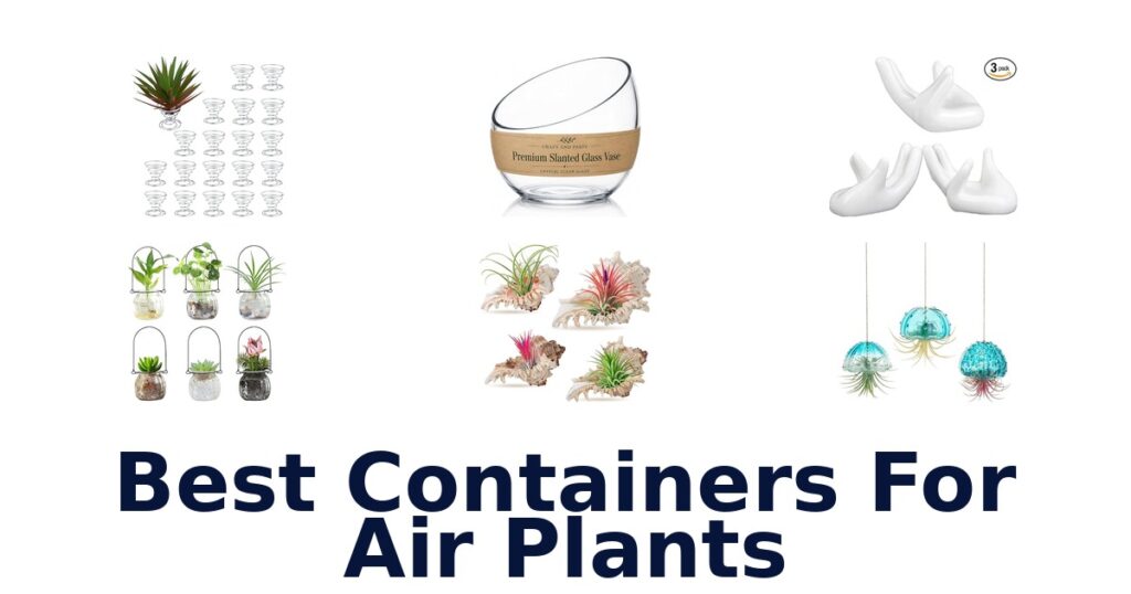 best containers for air plants