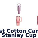 best cotton candy stanley cup