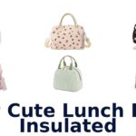 best cute lunch bags insulated