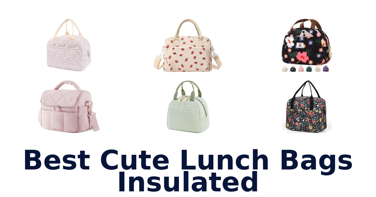 best cute lunch bags insulated