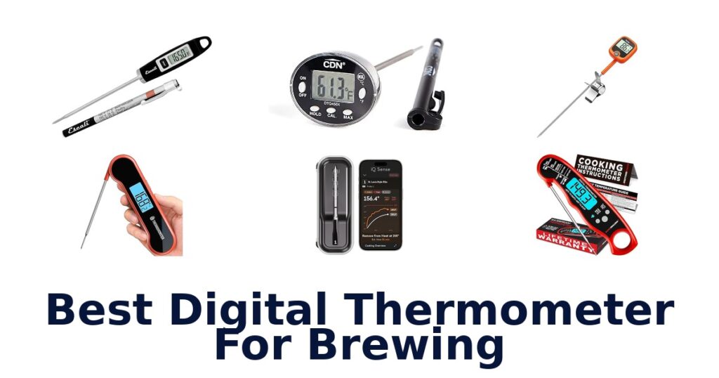 best digital thermometer for brewing