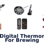 best digital thermometer for brewing