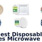 best disposable plates microwave safe