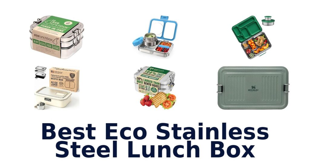 best eco stainless steel lunch box