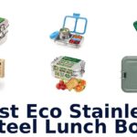 best eco stainless steel lunch box