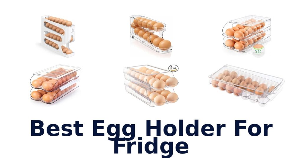 best egg holder for fridge