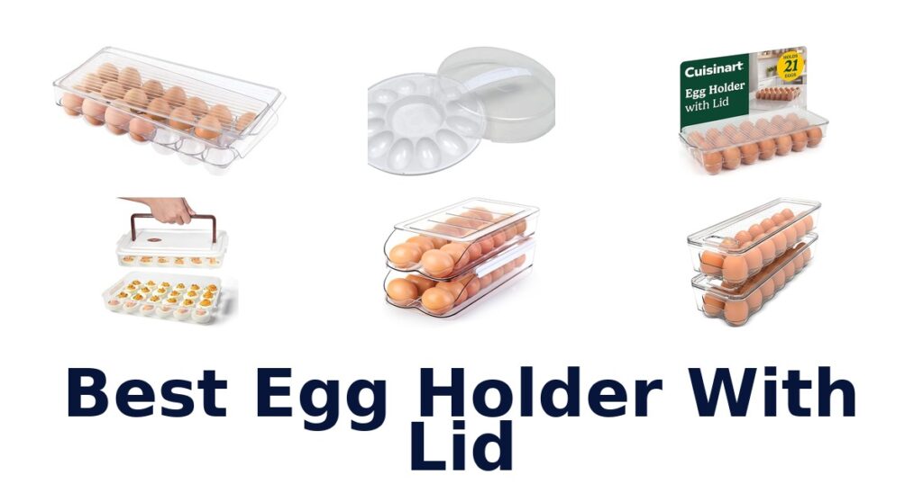 best egg holder with lid