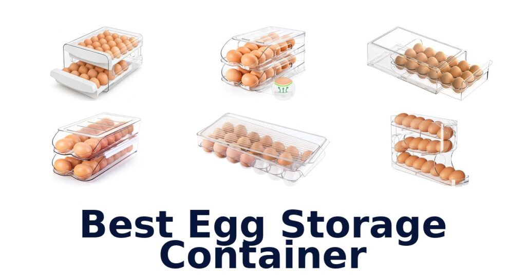 best egg storage container