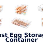 best egg storage container