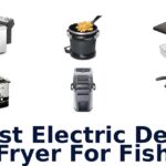 best electric deep fryer for fish
