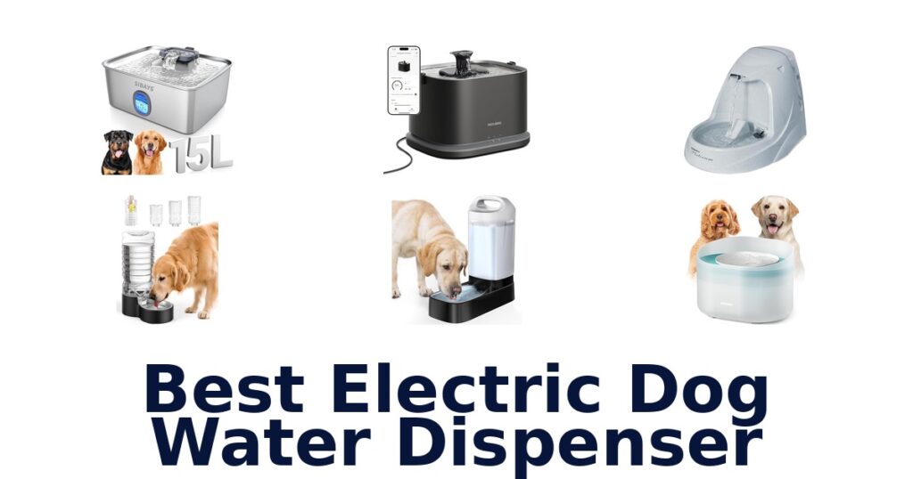best electric dog water dispenser