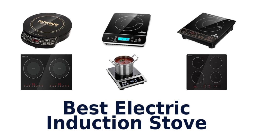 best electric induction stove