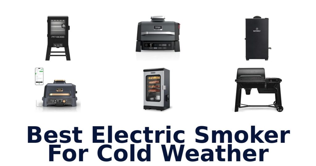 best electric smoker for cold weather