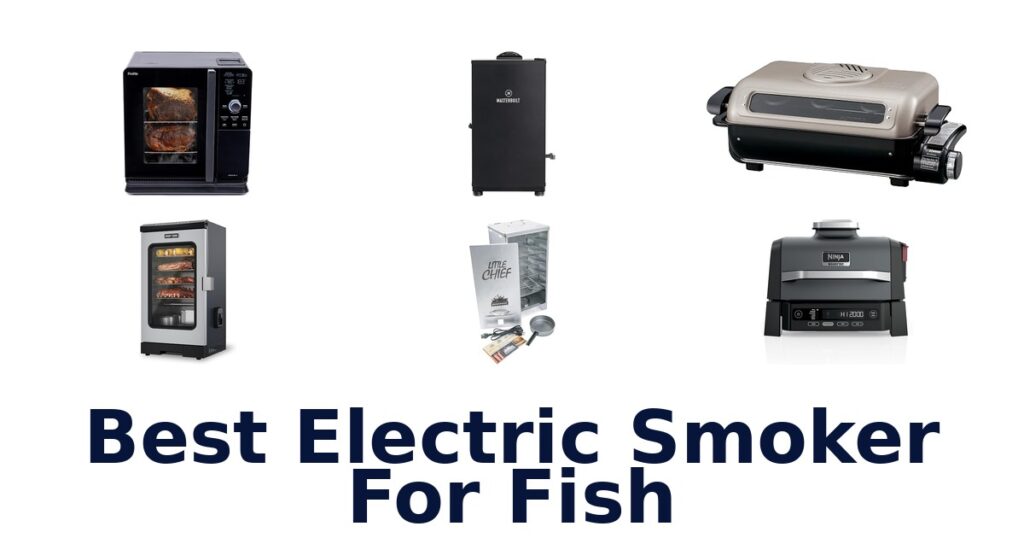 best electric smoker for fish