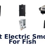 best electric smoker for fish