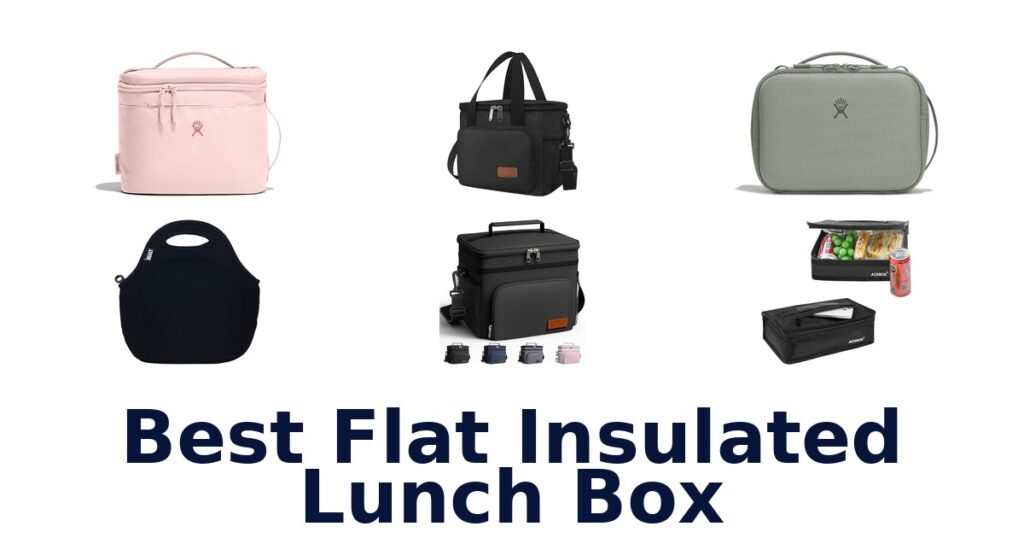 best flat insulated lunch box