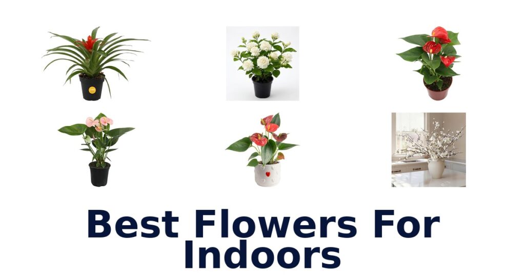best flowers for indoors