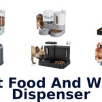 best food and water dispenser