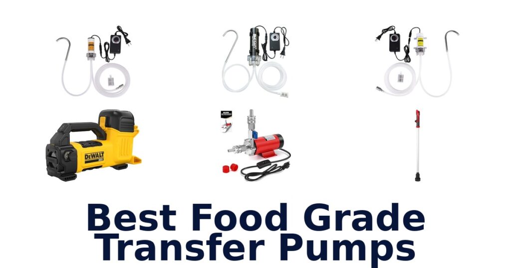 best food grade transfer pumps