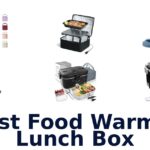 best food warmer lunch box