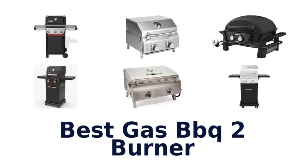 best gas bbq 2 burner