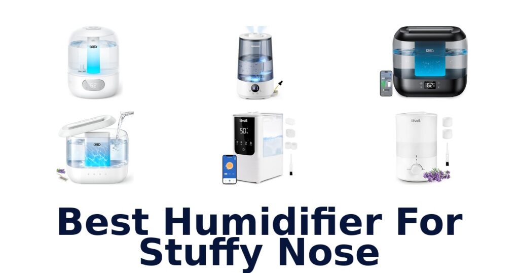 best humidifier for stuffy nose