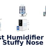 best humidifier for stuffy nose