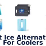 best ice alternatives for coolers