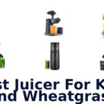 best juicer for kale and wheatgrass
