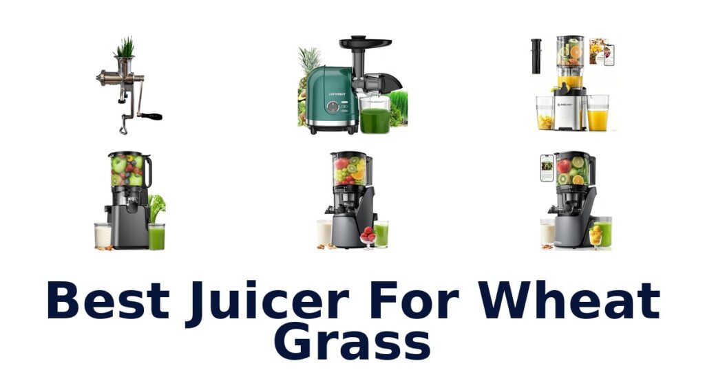 best juicer for wheat grass