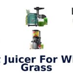 best juicer for wheat grass
